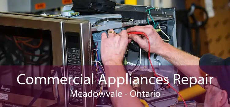 Commercial Appliances Repair Meadowvale - Ontario