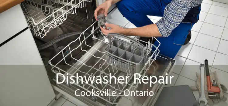 Dishwasher Repair Cooksville - Ontario