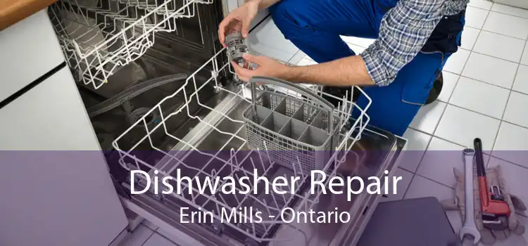 Dishwasher Repair Erin Mills - Ontario