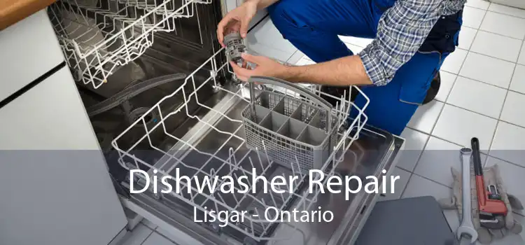 Dishwasher Repair Lisgar - Ontario