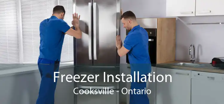 Freezer Installation Cooksville - Ontario