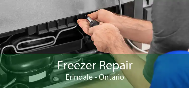Freezer Repair Erindale - Ontario