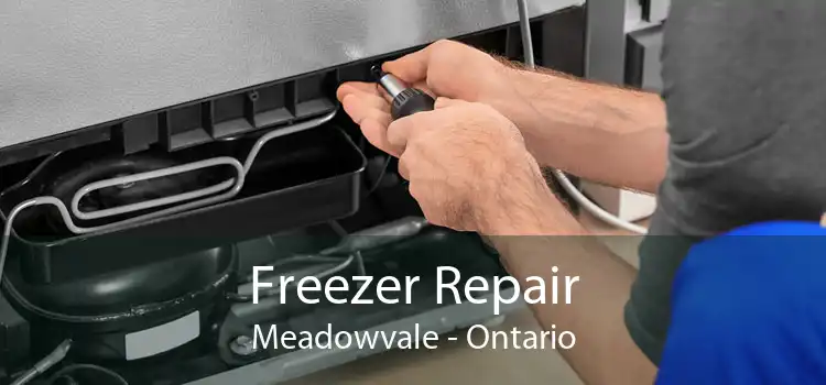 Freezer Repair Meadowvale - Ontario