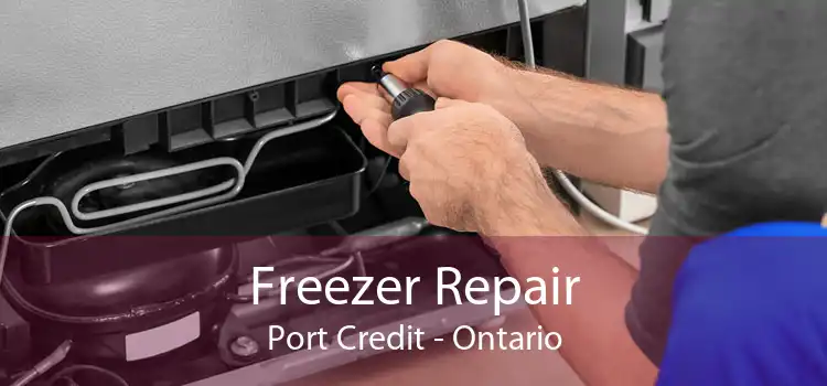 Freezer Repair Port Credit - Ontario