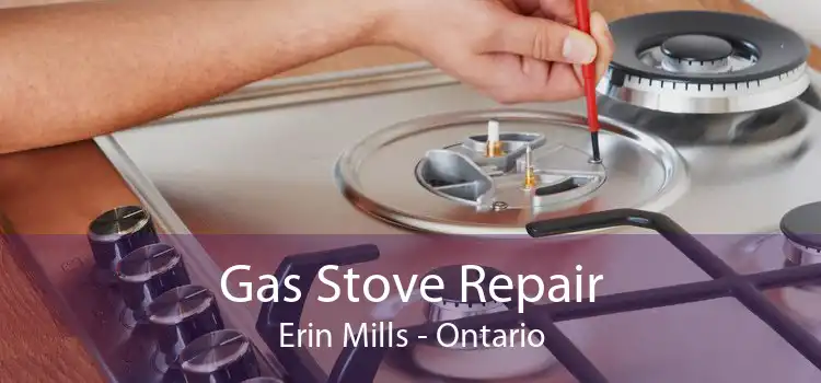 Gas Stove Repair Erin Mills - Ontario
