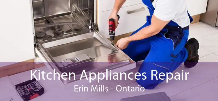 Kitchen Appliances Repair Erin Mills - Ontario