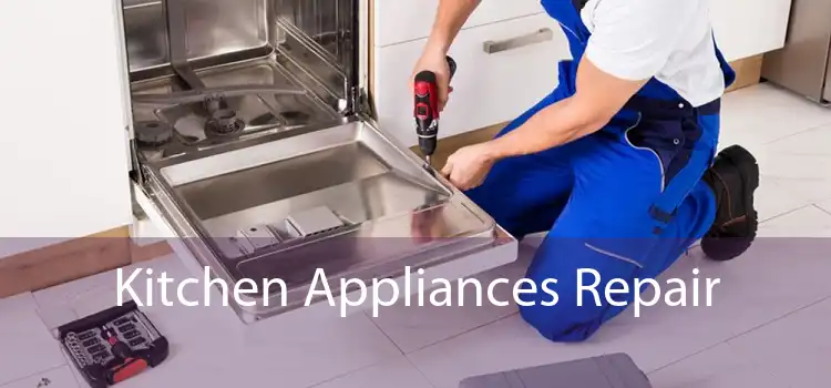 Kitchen Appliances Repair 