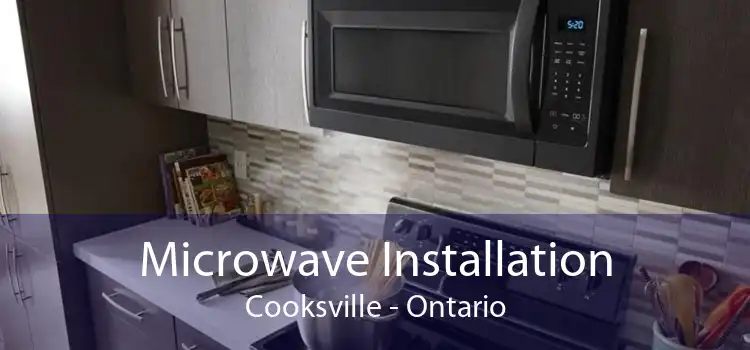 Microwave Installation Cooksville - Ontario