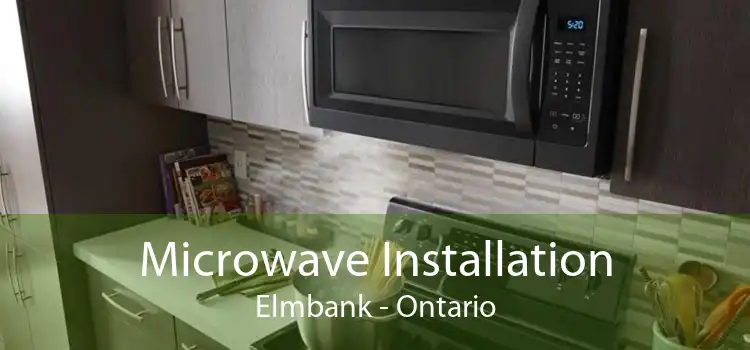 Microwave Installation Elmbank - Ontario