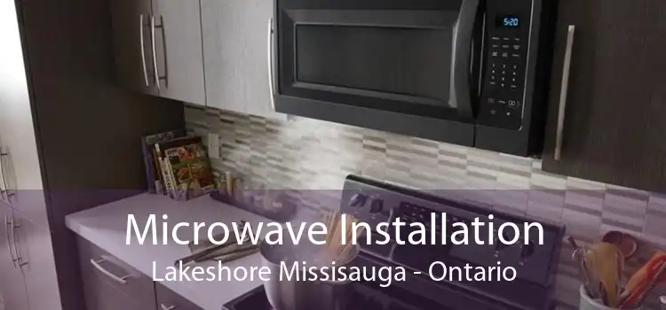 Microwave Installation Lakeshore Missisauga - Ontario