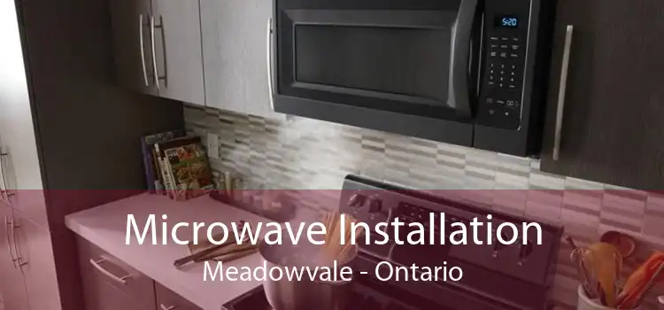 Microwave Installation Meadowvale - Ontario