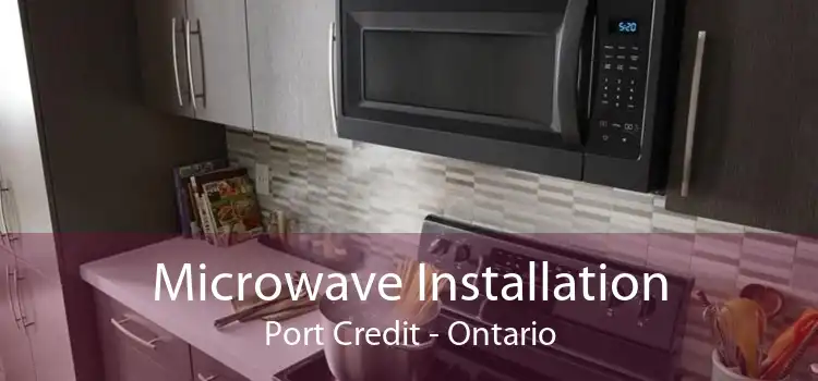 Microwave Installation Port Credit - Ontario
