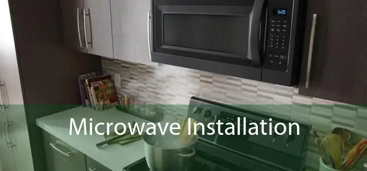 Microwave Installation 