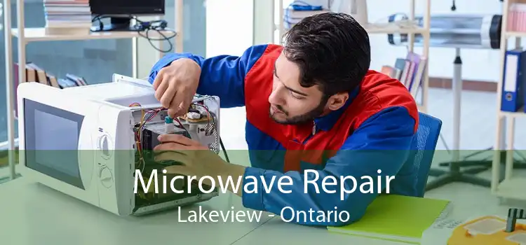 Microwave Repair Lakeview - Ontario