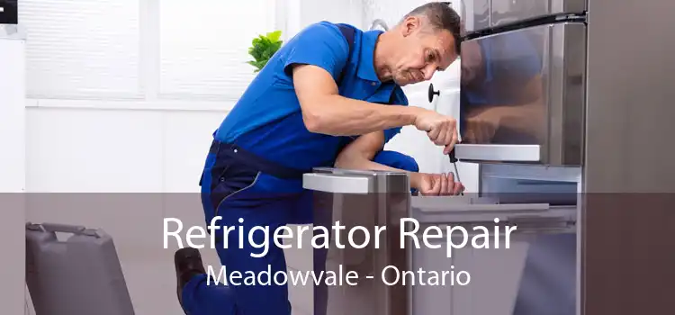 Refrigerator Repair Meadowvale - Ontario